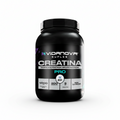 Creatina Monohidratada Micronizada — 1 kg