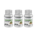 PACK X3 Ashwagandha + Magnesio 1000mg